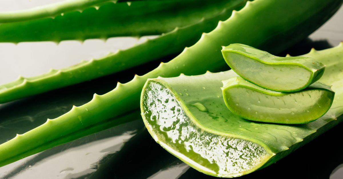 Aloe Vera - Koreai kozmetukimok